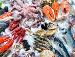Kategori - Deniz Ürünleri